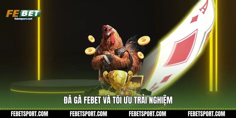 Đá Gà Febet và tối ưu trải nghiệm
